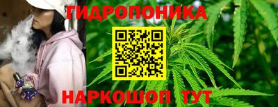 ГАЛЛЮЦИНОГЕННЫЕ ГРИБЫ Кулебаки