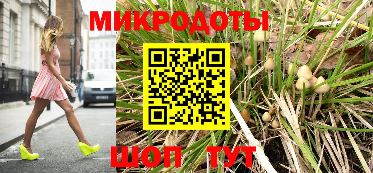 Зеленогорск  Псилоцибиновые грибы прущие грибы  Вход с VPN 
